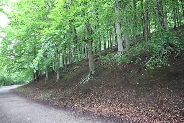 UpperDerwent037