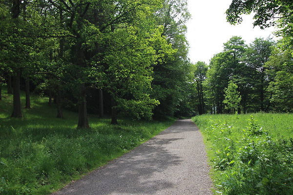 UpperDerwent081