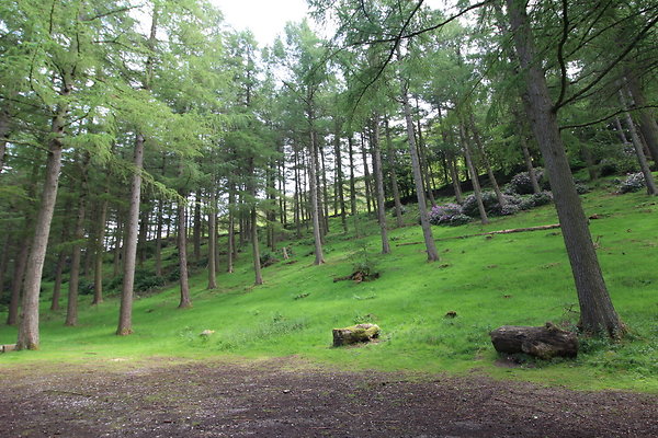 UpperDerwent085