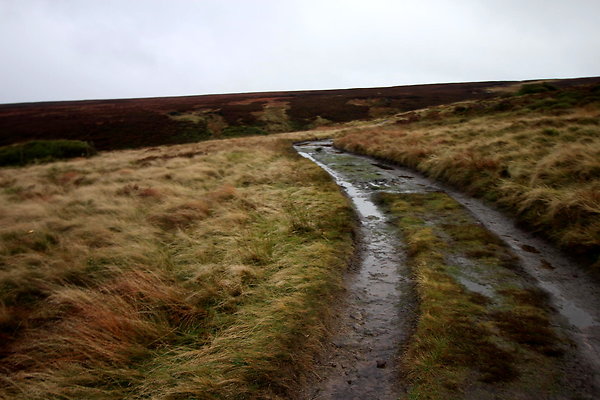 Alport Castles via Birchinlee Moor024