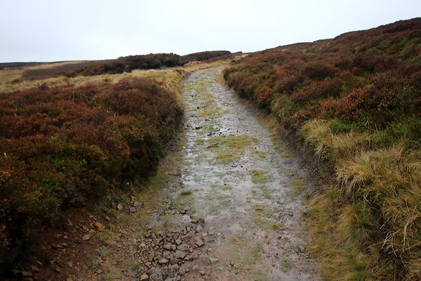 Alport Castles via Birchinlee Moor031