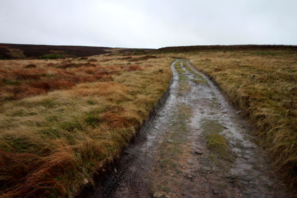 Alport Castles via Birchinlee Moor023