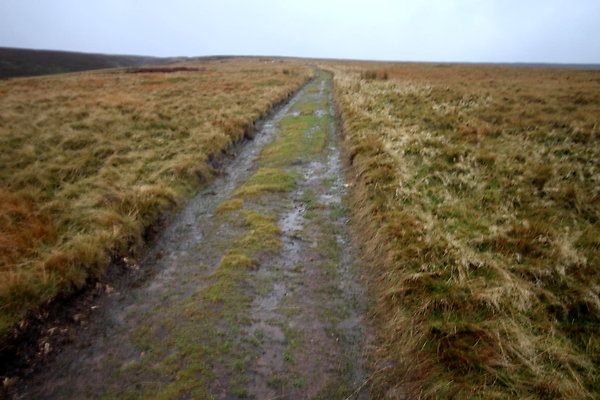 Alport Castles via Birchinlee Moor012