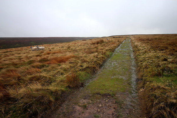 Alport Castles via Birchinlee Moor016
