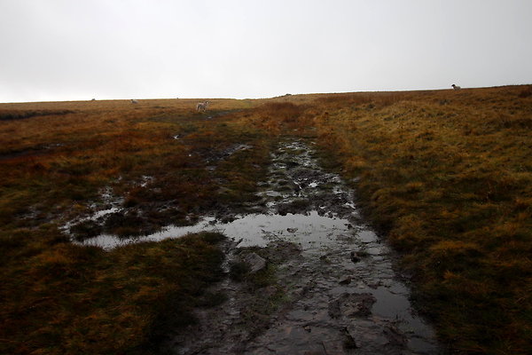 Alport Castles via Birchinlee Moor040