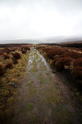 Alport Castles via Birchinlee Moor037
