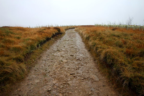 Alport Castles via Birchinlee Moor004