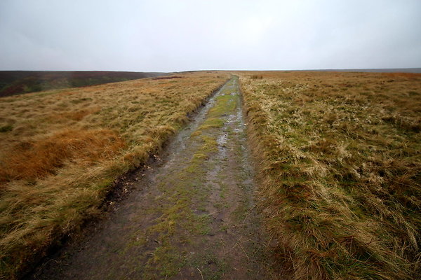 Alport Castles via Birchinlee Moor013
