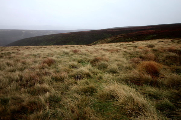 Alport Castles via Birchinlee Moor019