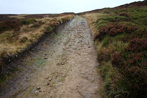 Alport Castles via Birchinlee Moor029