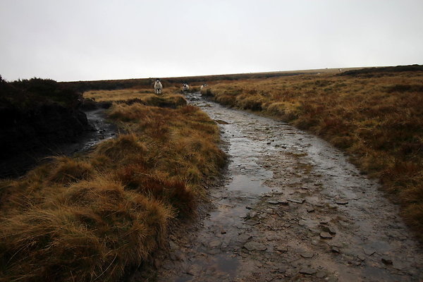 Alport Castles via Birchinlee Moor039