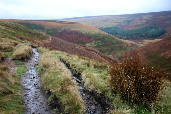 Howden Edge from Slippery Stones042