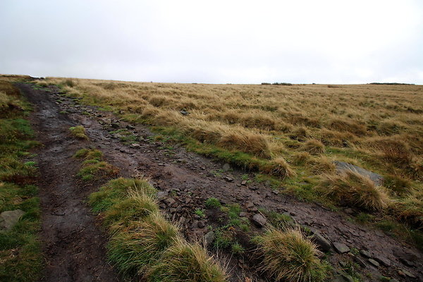 Howden Edge from Slippery Stones043