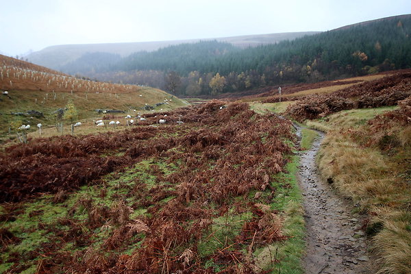 Howden Edge from Slippery Stones011
