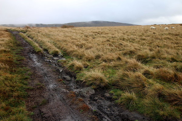 Howden Edge from Slippery Stones048