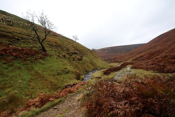 Howden Edge from Slippery Stones017