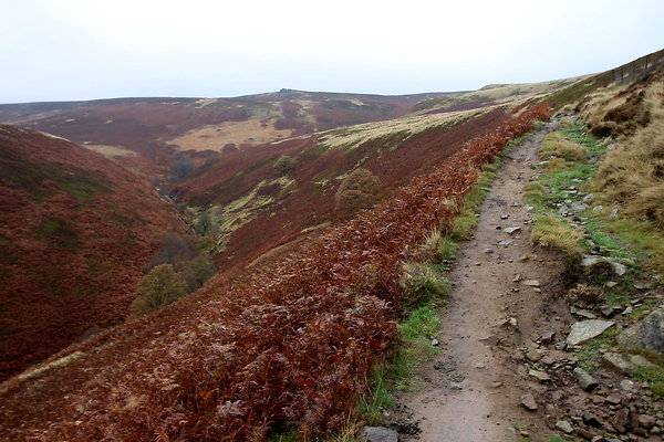Howden Edge from Slippery Stones040