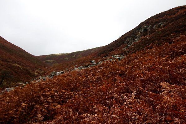 Howden Edge from Slippery Stones019