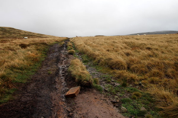 Howden Edge from Slippery Stones047