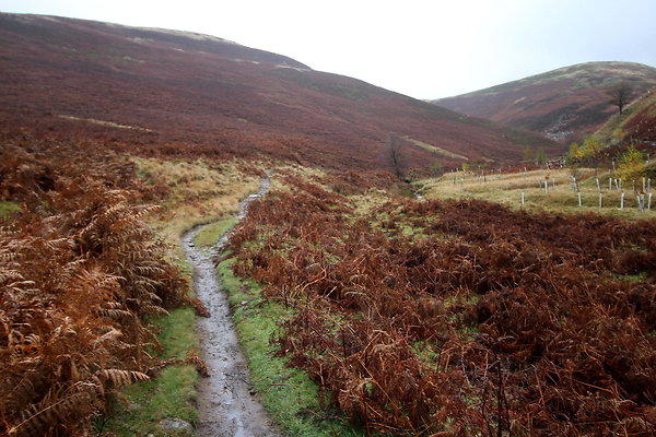 Howden Edge from Slippery Stones010