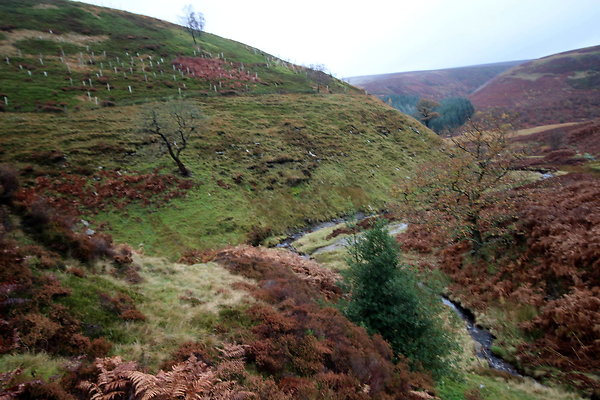 Howden Edge from Slippery Stones020