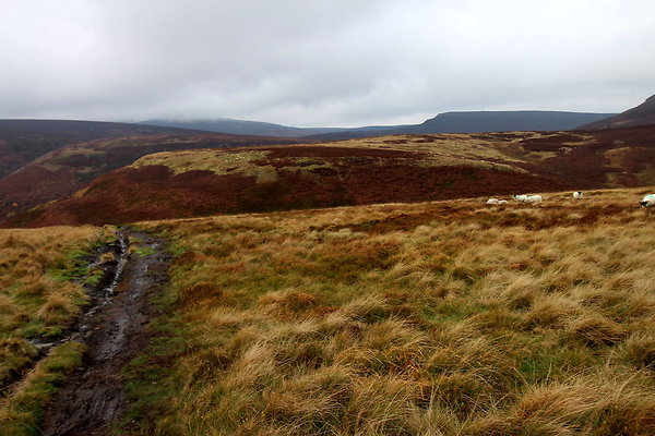Howden Edge from Slippery Stones050