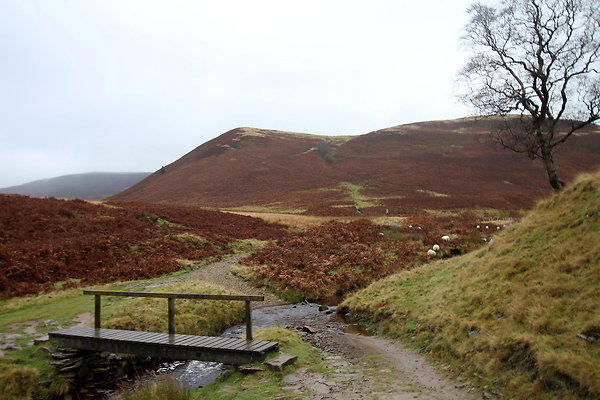 Howden Edge from Slippery Stones006