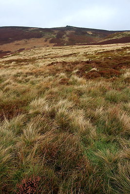 Howden Edge from Slippery Stones045