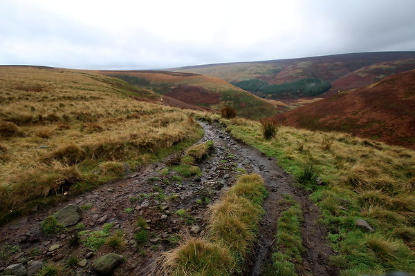 Howden Edge from Slippery Stones044