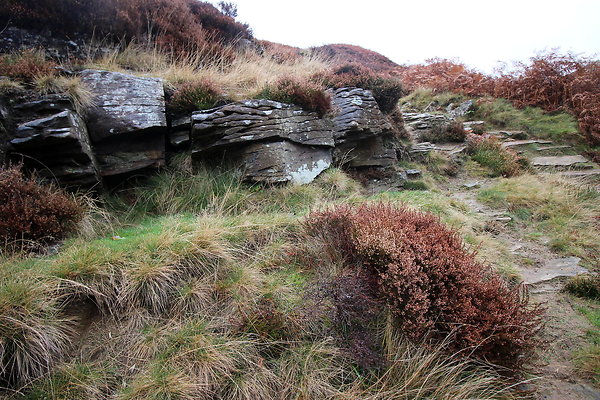 Howden Edge from Slippery Stones021