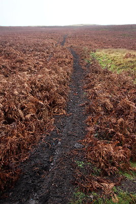 Howden Edge from Slippery Stones012