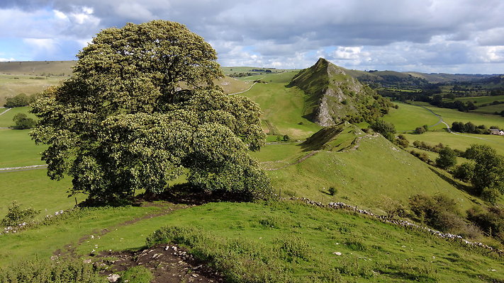 ChromeHill038
