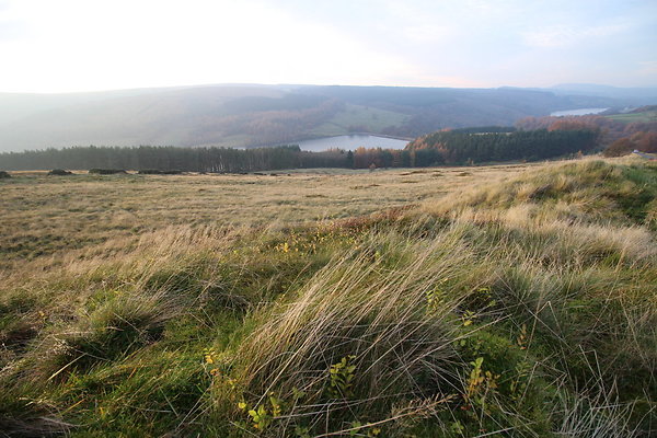 Goyt Valley037