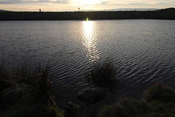 Goyt Valley043