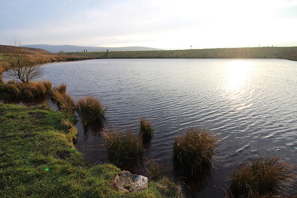Goyt Valley045