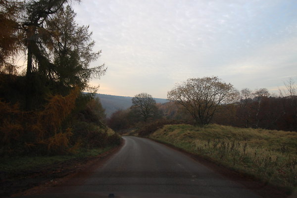 Goyt Valley030