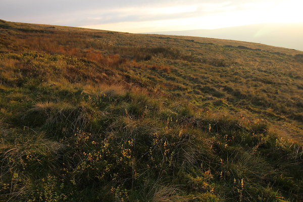 Goyt Valley035
