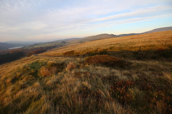 Goyt Valley036