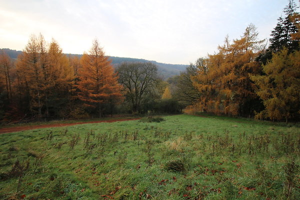 Goyt Valley029