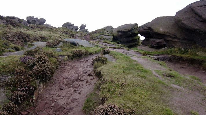 TheRoaches067 TheRoaches067