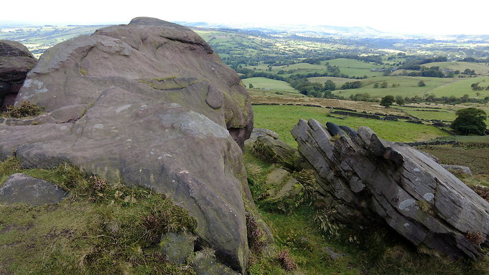 TheRoaches075 TheRoaches075