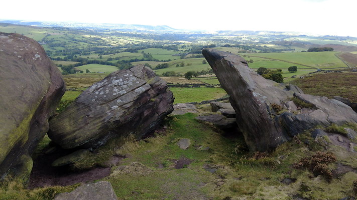 TheRoaches073 TheRoaches073