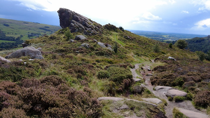 TheRoaches098 TheRoaches098