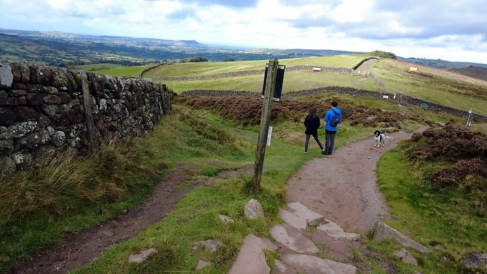 TheRoaches086 TheRoaches086