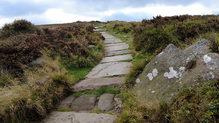 TheRoaches062 TheRoaches062