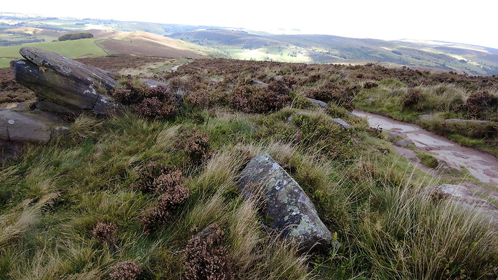 TheRoaches078 TheRoaches078