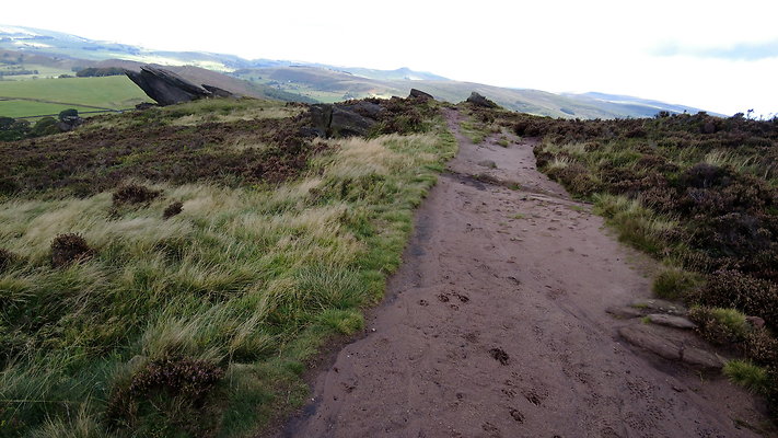 TheRoaches069 TheRoaches069