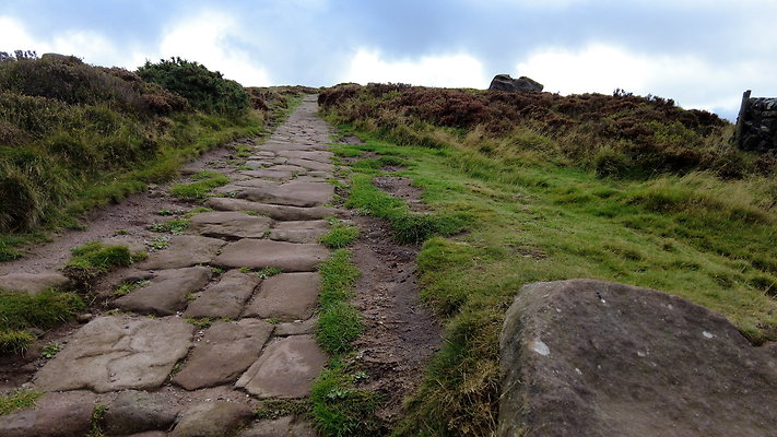 TheRoaches065 TheRoaches065