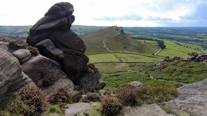 TheRoaches103 TheRoaches103