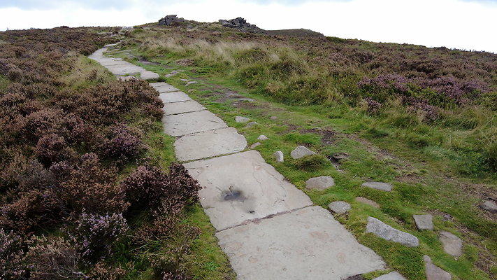 TheRoaches081 TheRoaches081